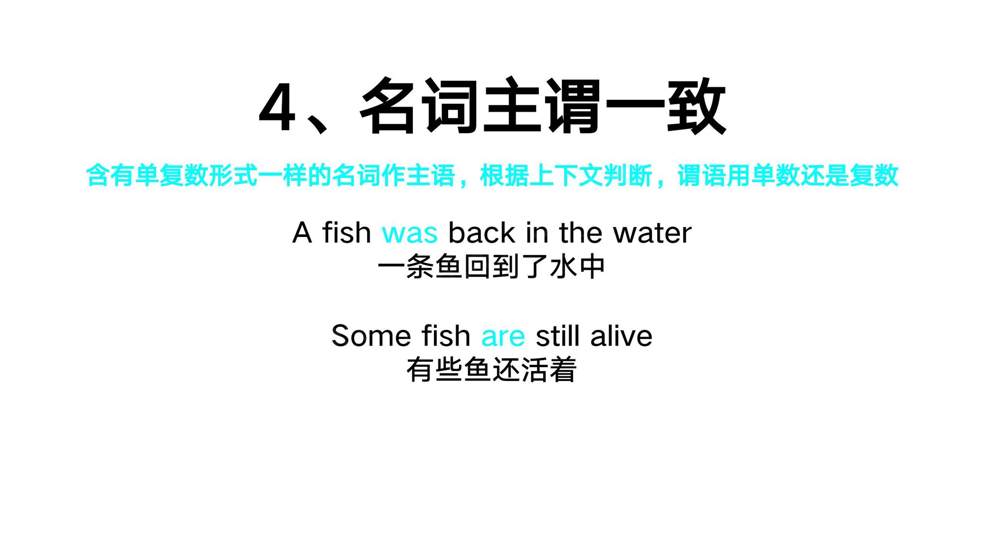 05_名词(24)